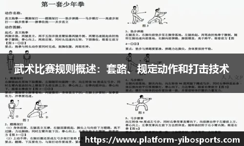 武术比赛规则概述：套路、规定动作和打击技术