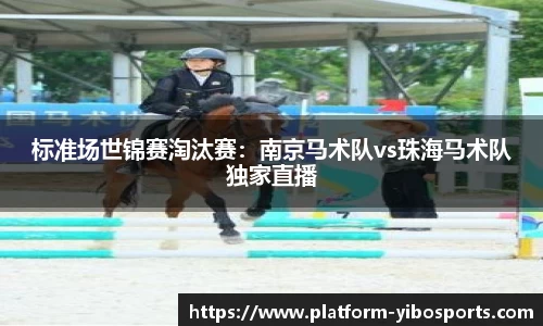 标准场世锦赛淘汰赛：南京马术队vs珠海马术队独家直播